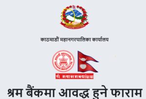 Screenshot_27-5-2024_141628_datacollection.kathmandu.gov.np
