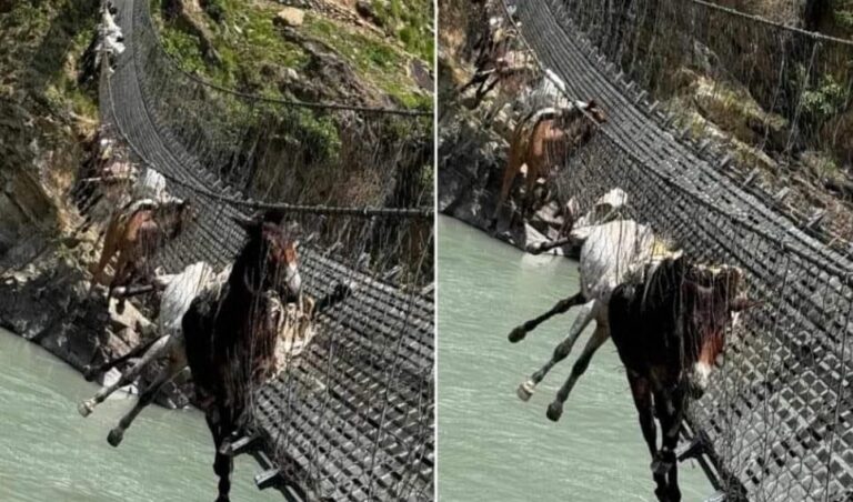 447888485_487022430343946_1065590023052733827_n (1)